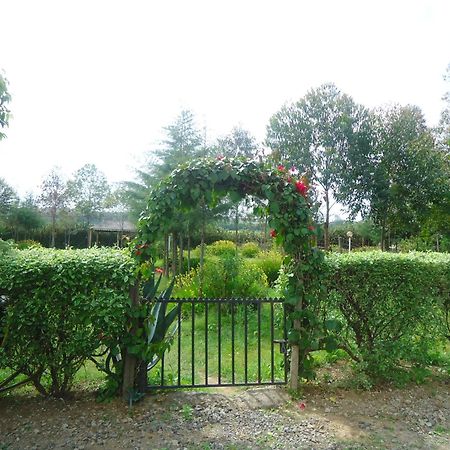 Triple Eden Resort - Naivasha Kültér fotó
